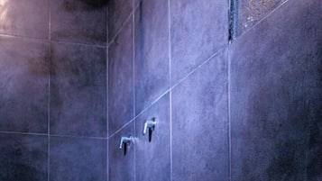 Habitación estándar, 1 cama King size | Baño | Jabón, shampoo, papel de baño