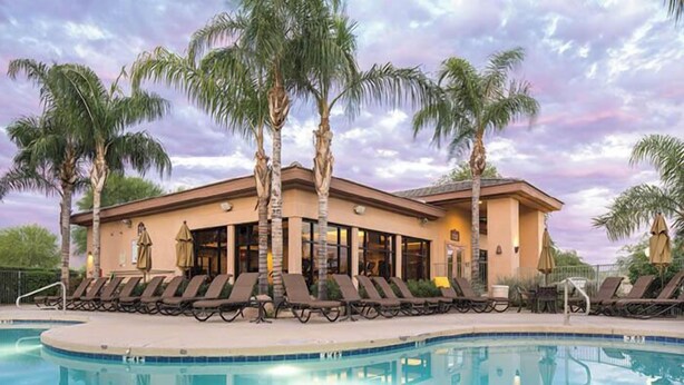 Un resort con piscina, palmeras y sillones de descanso.