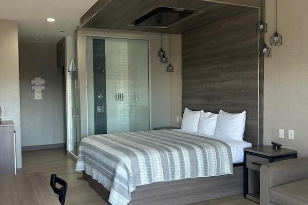 Superior Suite, Non Smoking | 1 bilik tidur, meja, ruang kerja komputer riba, Wi-fi percuma