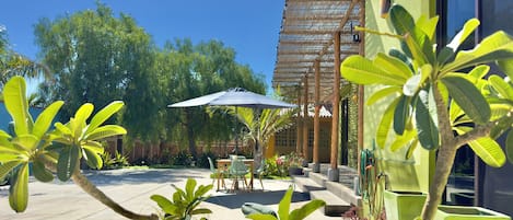 Terraza o patio
