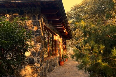 Preciosas Cabañas Para Relajarse en el Corazon del Monte
