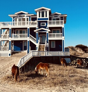 Exterior - Oceanfront- walk to beach w/pool, hot tub and wrap around deck (Corolla)