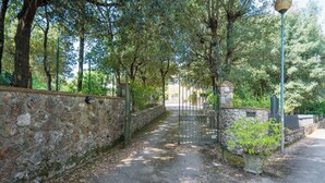 A paved pathway flanked by stone walls and trees, leading to a gated entrance. - Santa Colomba House, Siena, Nature And Pool (Monteriggioni)