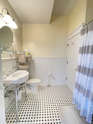 Hair dryer, towels, soap, shampoo