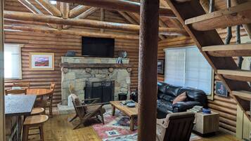 Smart TV, fireplace, books