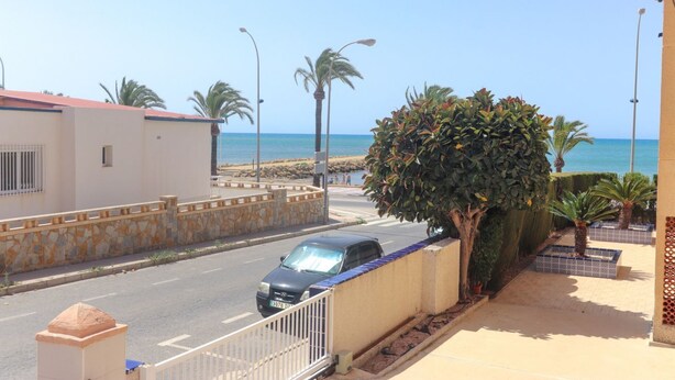 A coastal street with a parked car, a stone wall, and a tree.