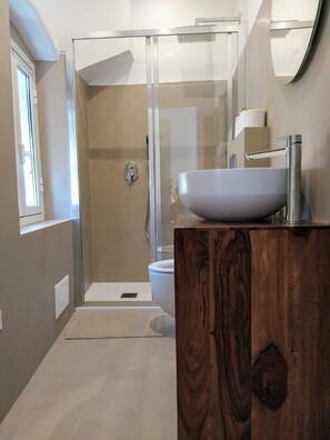 Secador de cabelo, shampoo, papel higiênico