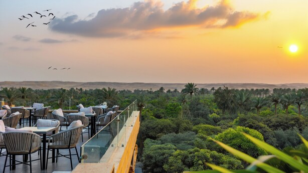 Una terraza con mesas y sillas que da a un paisaje exuberante con palmeras y un atardecer.