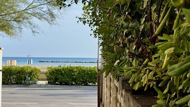 Una carretera pavimentada que conduce a una playa, con un muro de hormigón y vegetación a un lado.