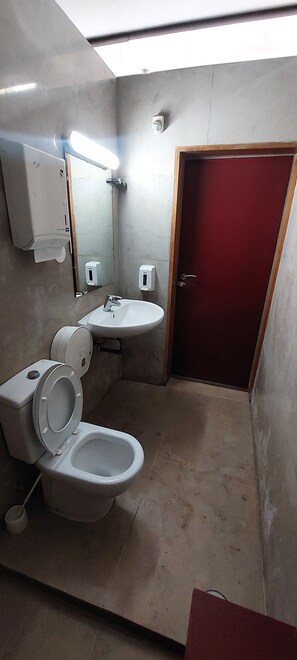 A small bathroom with a toilet, sink, and mirror. - Vintage Sail Boat in Lisbon (Lisboa)