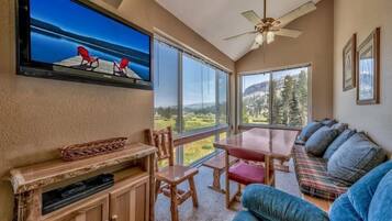 TV, fireplace, DVD player