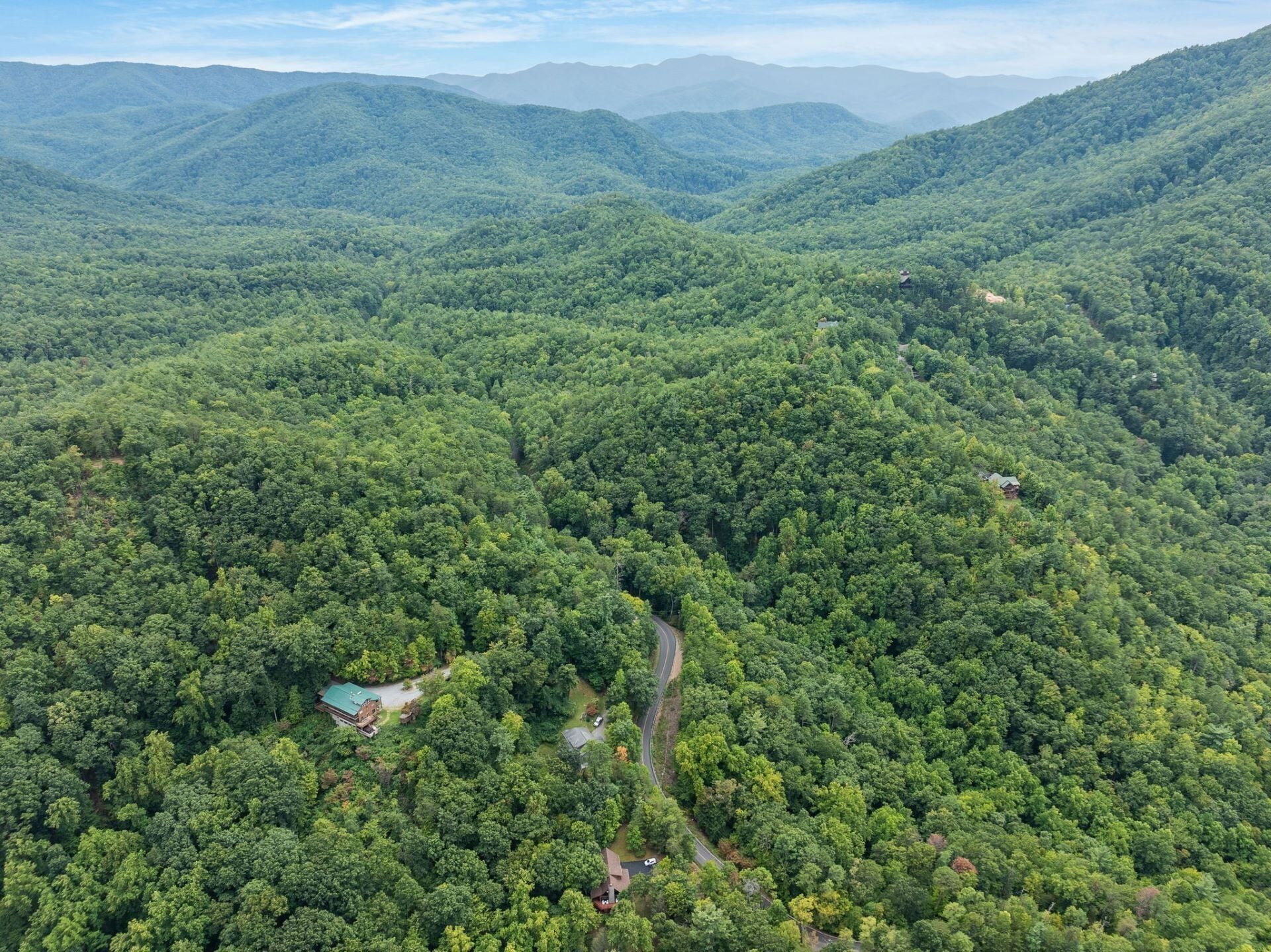 An aerial view of a forested area with a winding road and scattered buildings.
