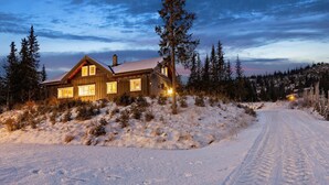 Una cabaña de madera con techo inclinado, rodeada de nieve en el suelo y en los árboles, con un camino despejado que lleva a ella.