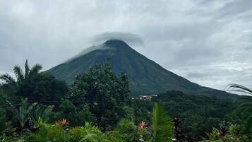 Uma paisagem exuberante com uma montanha ao fundo, rodeada por vegetação tropical densa.