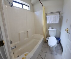 Combined shower/tub, hair dryer, towels, soap