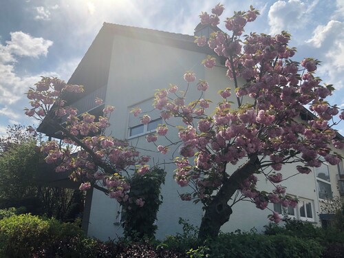 Daheim am Wasserturm – peace, style and a place to arrive and feel at home