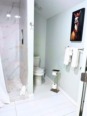 Shower, hair dryer, towels, soap