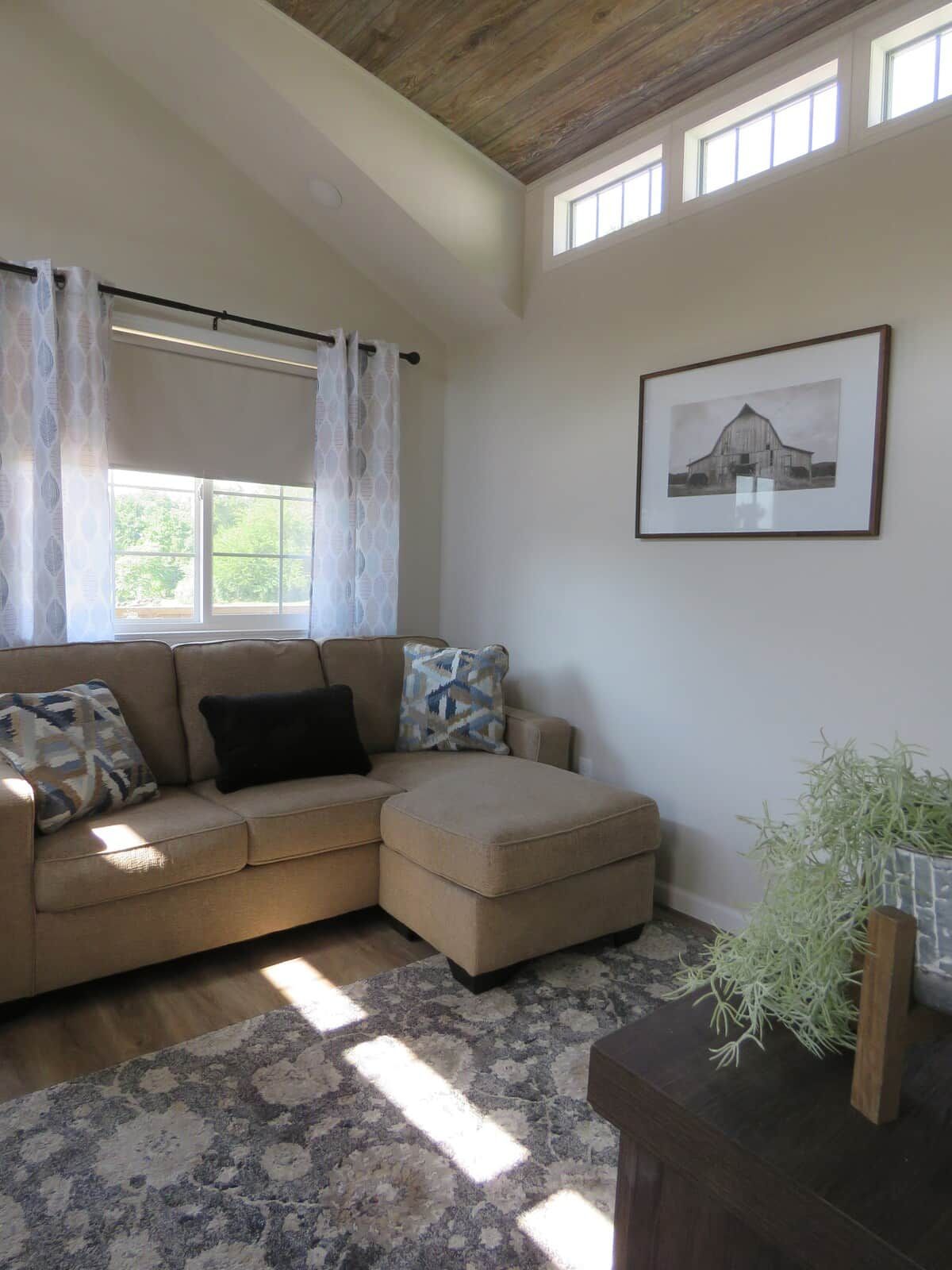 A living room with a sectional sofa, a patterned rug, a framed picture on the wall, and a plant on a side table.
