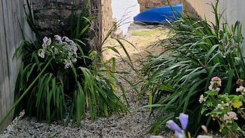 Terrain de l’hébergement