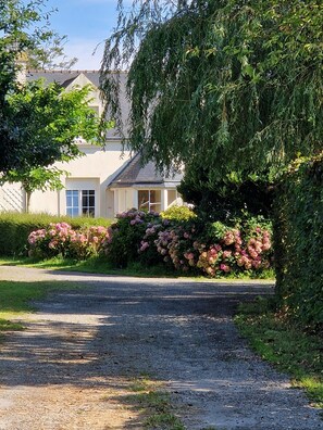 A residential building with a gravel driveway, lush greenery, and flowering bushes.