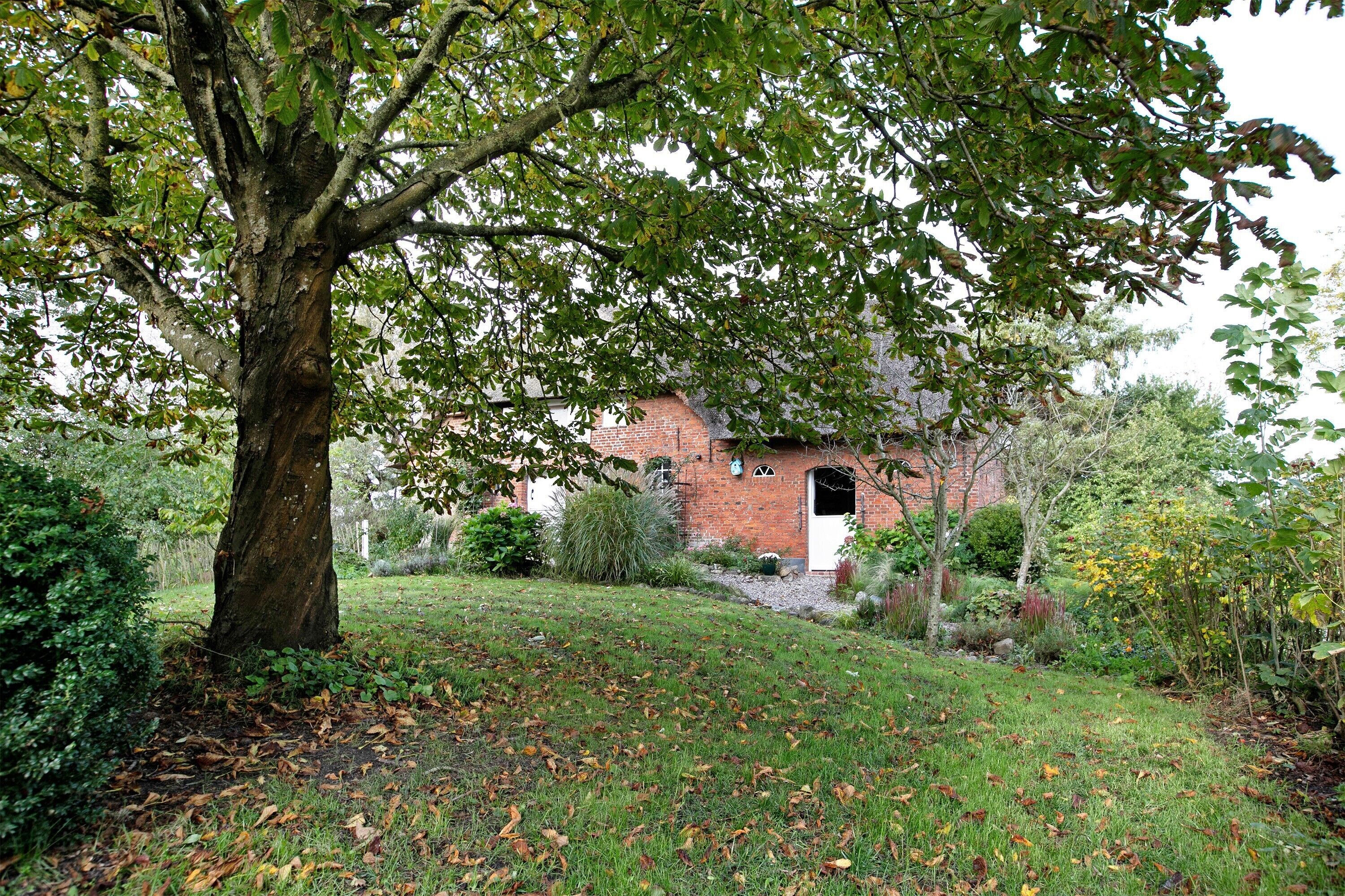 A brick building with a white door, surrounded by a grassy area with trees and shrubs.