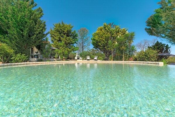 Ein klares Schwimmbecken, umgeben von Bäumen und einem Gebäude mit überdachter Terrasse.