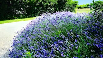 Área da propriedade