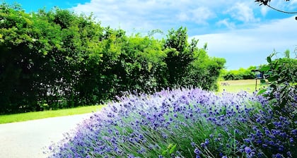 Glamping 'Safarilodge Standard Tent 6 4 Pers' avec terrasse privée, jardin partagé et Wi-Fi