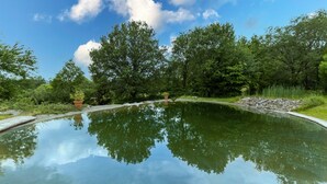 Una piscina cristalina rodeada de árboles y follaje.