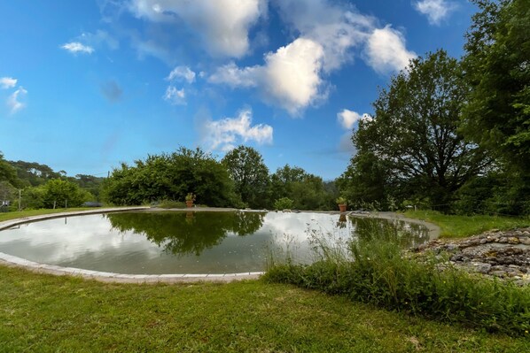 Eine friedliche Außenanlage mit einem runden Teich, umgeben von üppigem Grün und Bäumen.