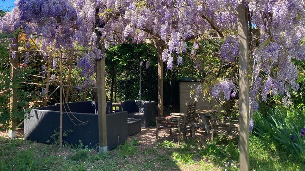 Un jardin agrémenté d’arbres aux fleurs violettes, de pergolas en bois et de coins salons extérieurs.