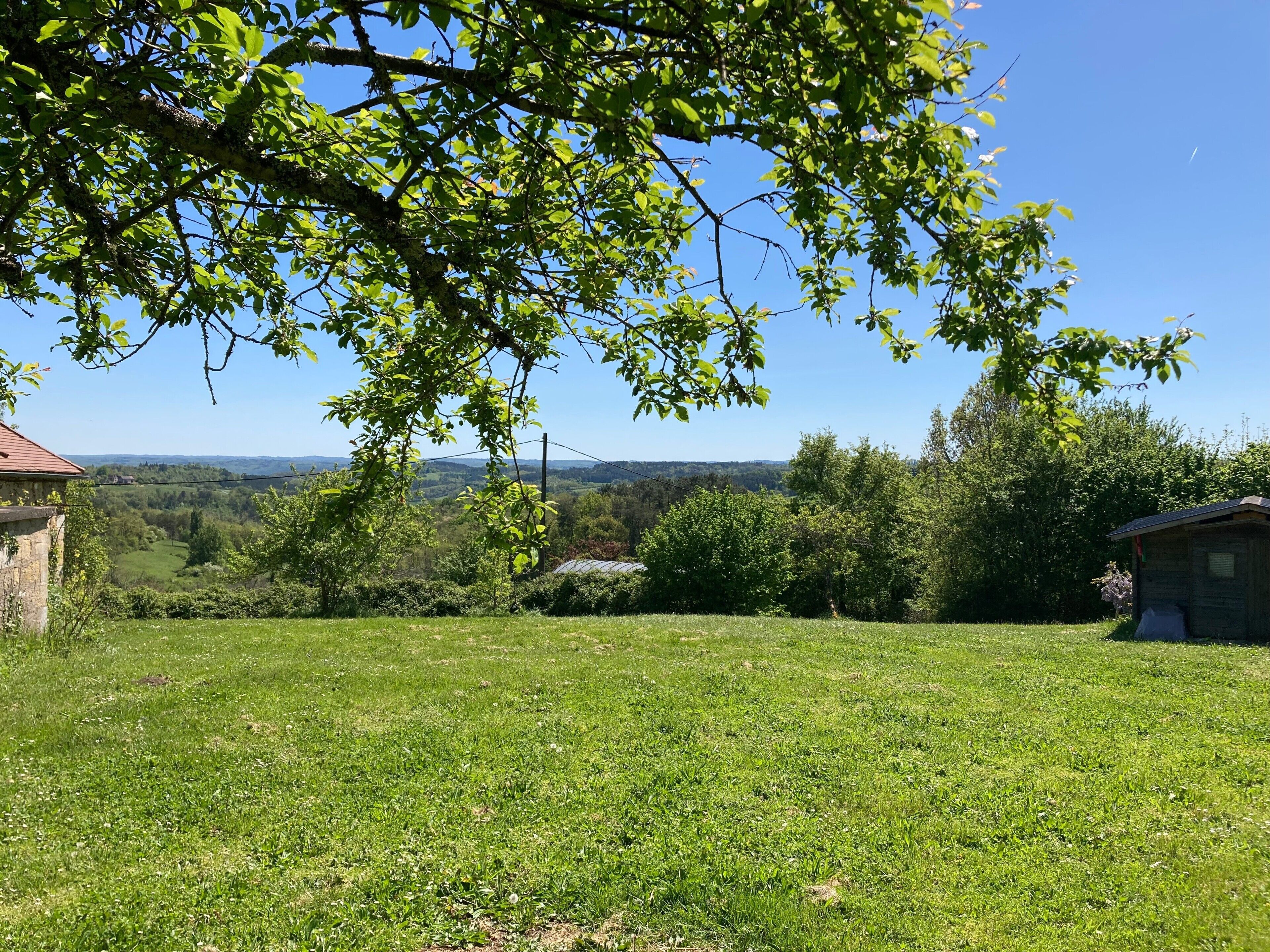 Un champ verdoyant, parsemé d’arbres, avec une vue lointaine sur un pont.