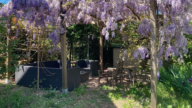 Un jardín con enredaderas de glicinia morada, pérgolas de madera y mobiliario exterior.