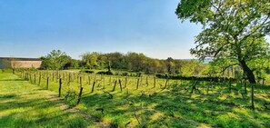 Property grounds - Poppy Room with Shared Terrace and Garden (Auriac-du-Périgord)