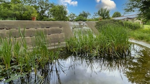 Un élément décoratif aquatique, délimité par une barrière en béton et entouré de verdure et d’arbres.