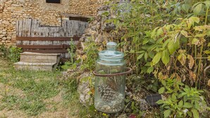A rustic stone building with a wooden bench and steps, surrounded by greenery and a glass jar filled with pinecones.