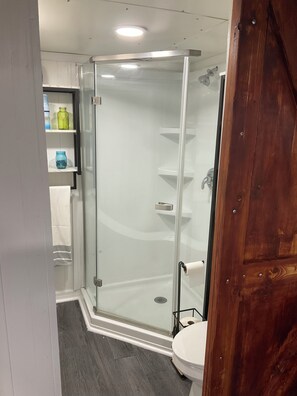 Bathroom features a glass-enclosed shower, a sink with a countertop, and a shelf for toiletries.