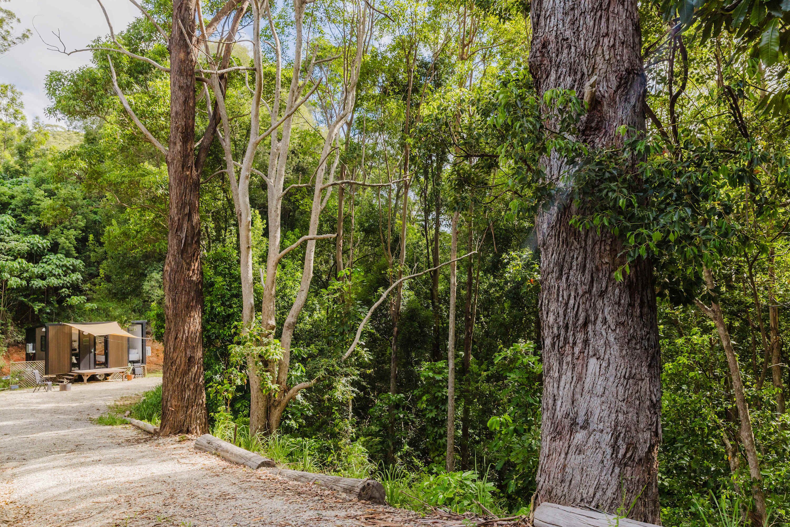 Overnattingsstedets uteområder