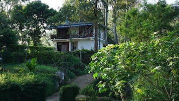 Diseño del edificio