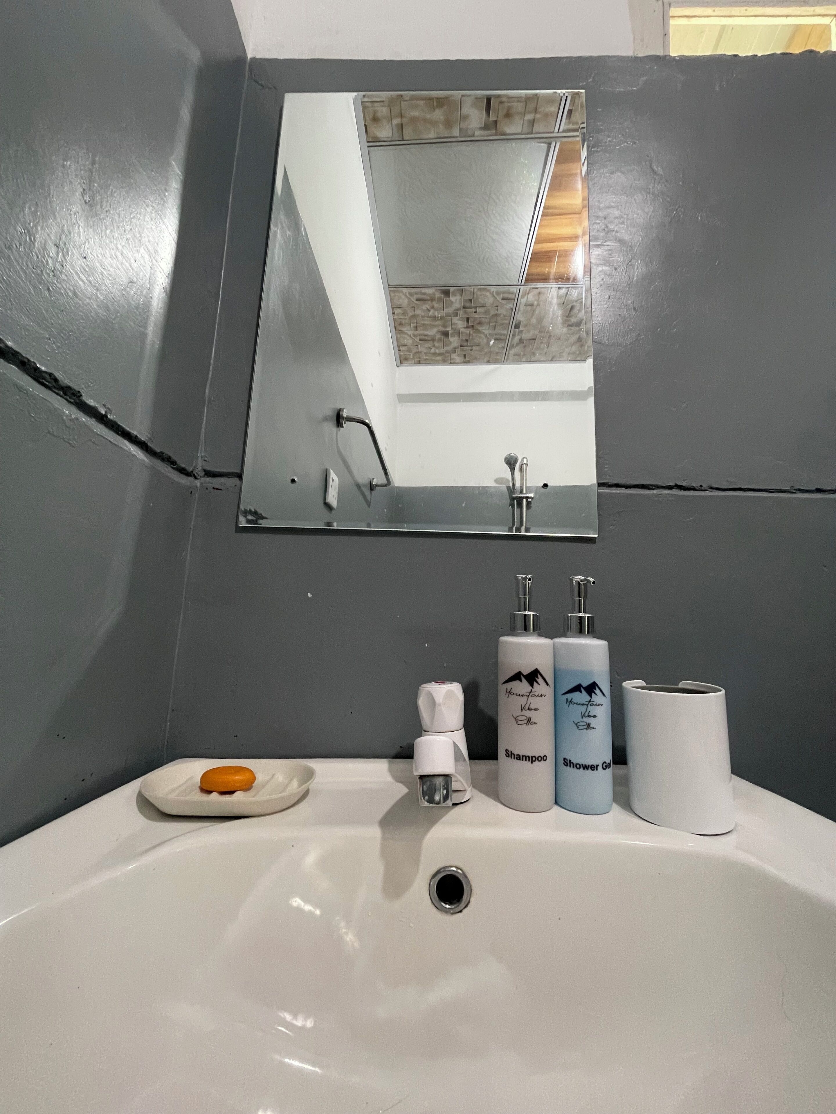 Un baño con un lavamanos blanco, un espejo y artículos de aseo, incluyendo una botella de champú y una de gel de ducha.