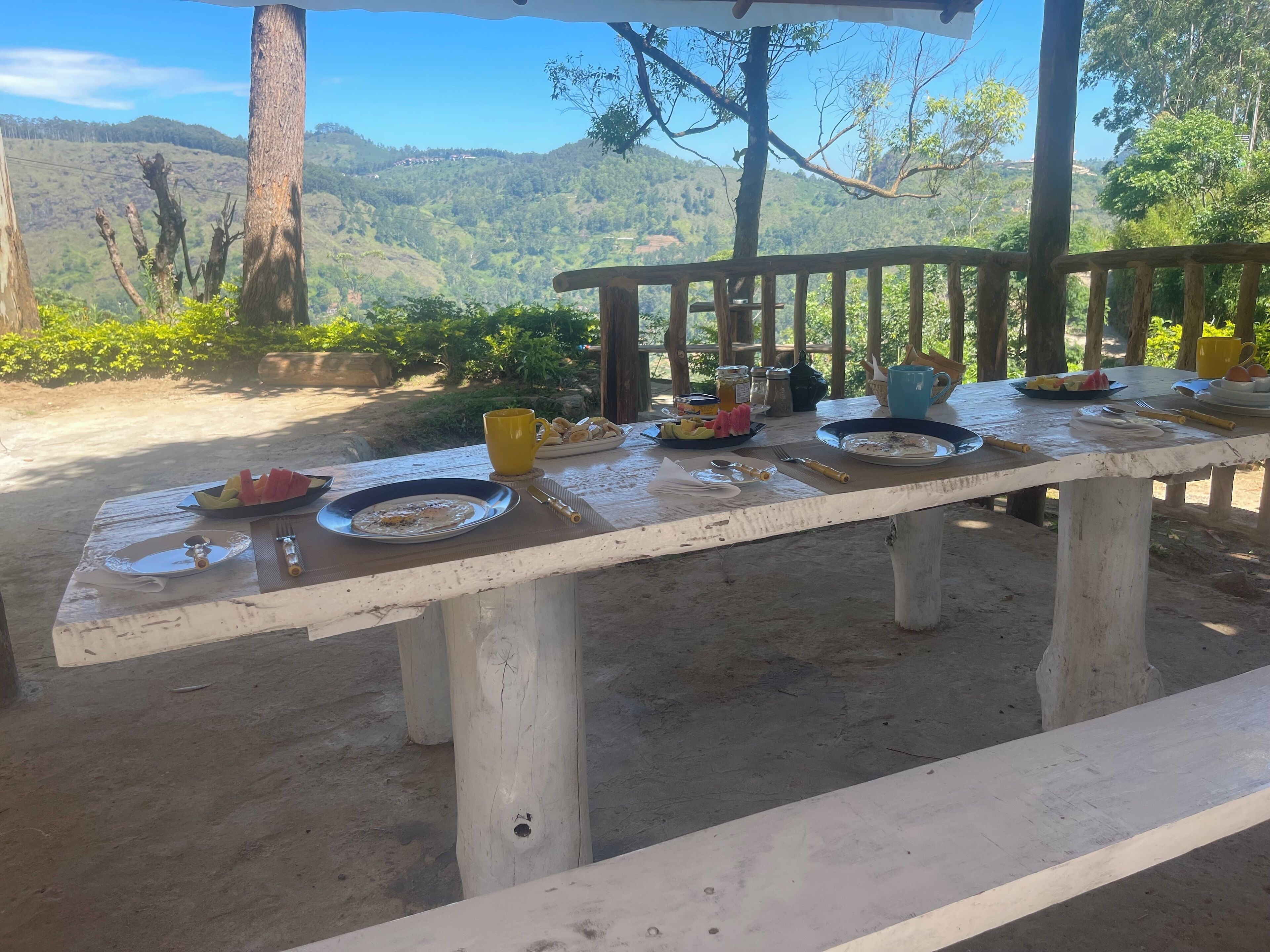 Une table de pique-nique installée à l’extérieur, avec des assiettes remplies de nourriture, des couverts et une tasse jaune.