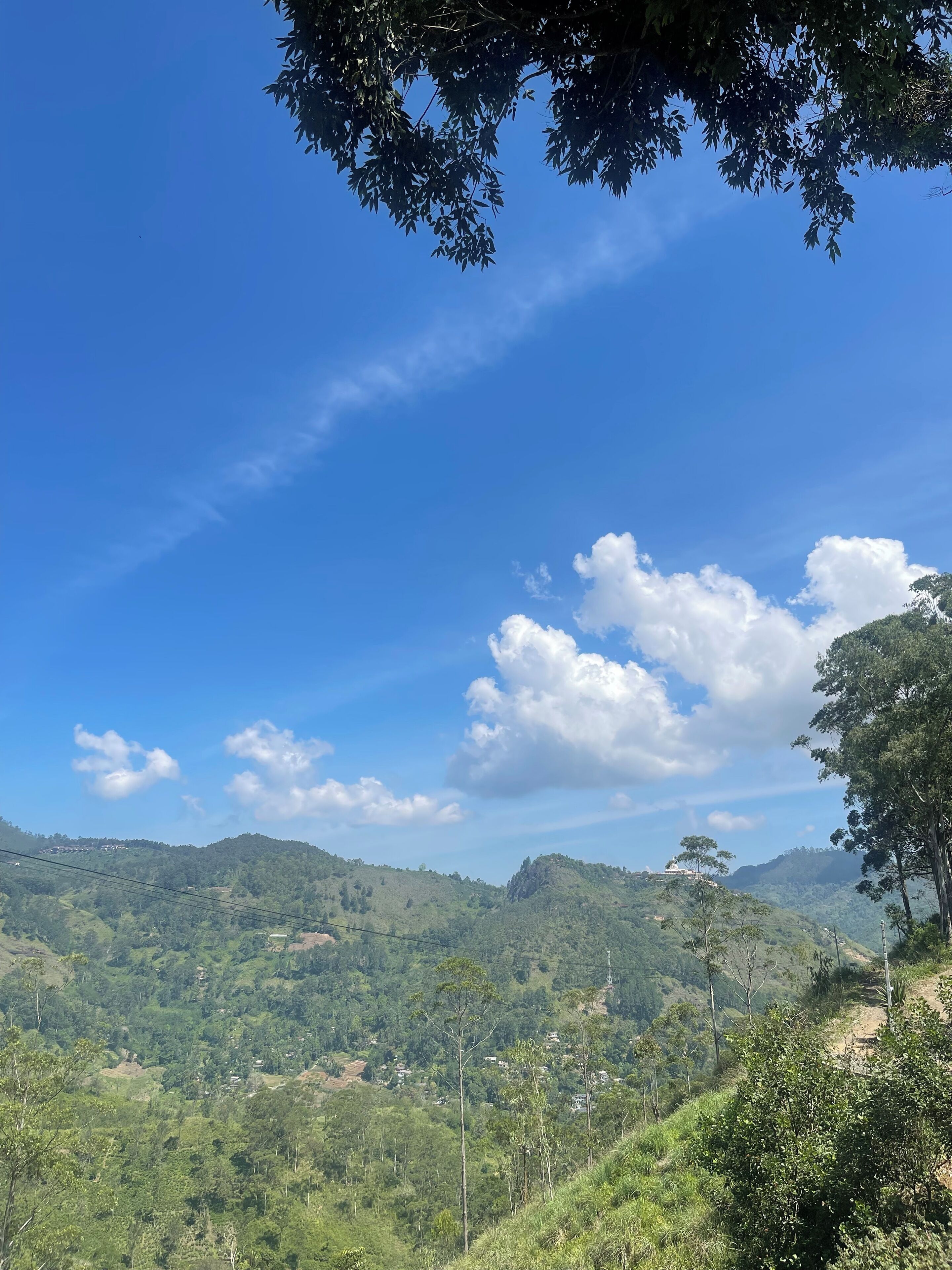 Una vista panorámica de un valle exuberante y verde con un cielo azul despejado.