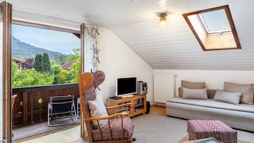 Fernseher, Stereoanlage