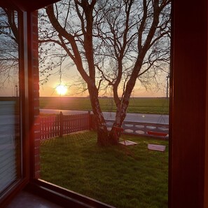 Blick durch ein Fenster auf einen von Bäumen gesäumten Garten mit Zaun und Bank.