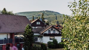 A residential area with houses, a white fence, and a hill in the background. - Apartment 'Hexe I - Mit Blick Auf Den Wurmberg' with Mountain View, Balcony and Wi-Fi (Braunlage)