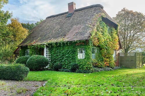 Chalet 'Reetdachchalet' mit privater Terrasse und eigenem Garten
