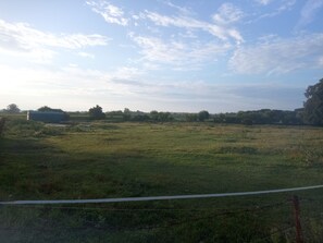 Miscellaneous - Apartment 'Beier' with Shared Garden and Wi-Fi (Neustrelitz)