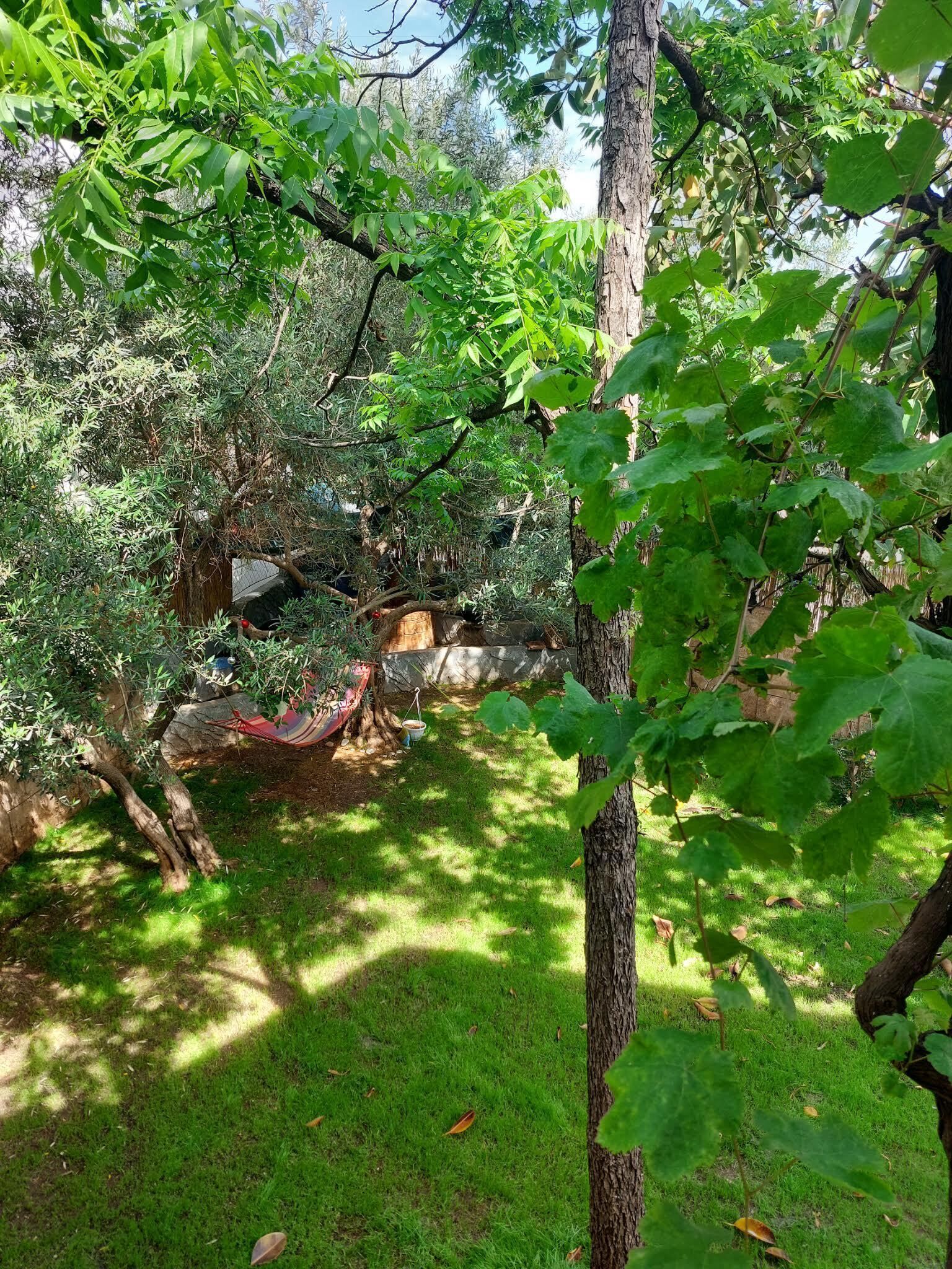 Elite-Zimmer, 1 Queen-Bett, am Strand | Terrasse/Patio