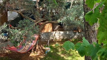 Elite-Zimmer, 1 Queen-Bett, am Strand | Terrasse/Patio