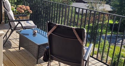 Airy and light 2 bedroom apartment with WiFi in Akershus